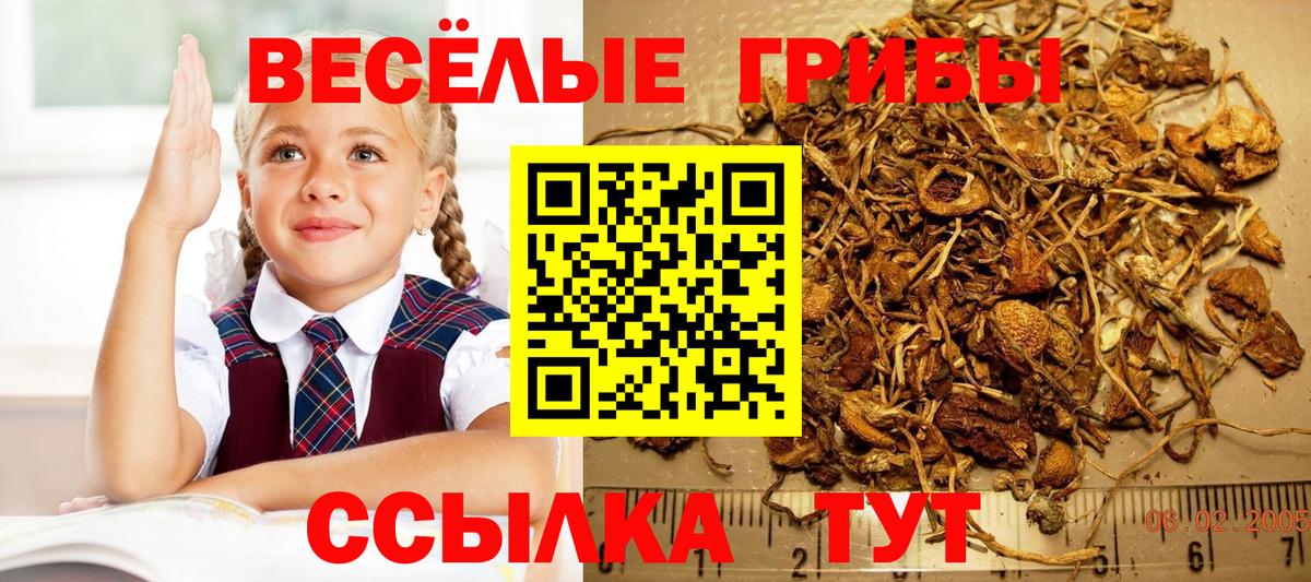 Галлюциногенные грибы Psilocybe  Псилоцибиновые грибы мицелий  даркнет сайт  Анапа  Вход с VPN 
